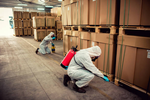 Pest Control Cost in Rancho Mission Viejo, CA