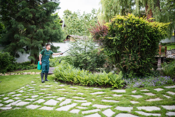 Best Bird Control  in Rancho Mission Viejo, CA