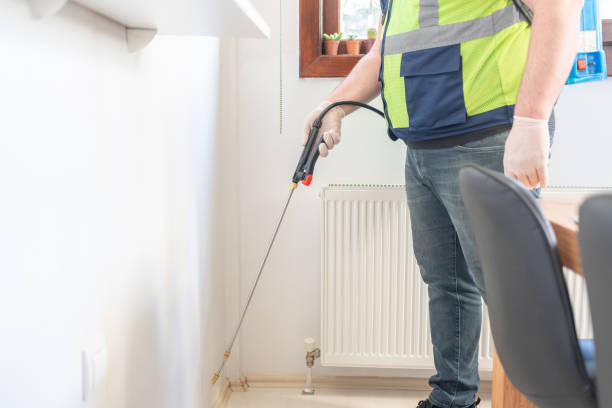 Trusted Rancho Mission Viejo, CA Pest Control Experts