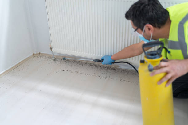 Pest Prevention Services in Rancho Mission Viejo, CA