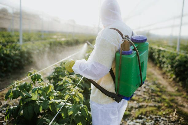 Best Affordable Pest Control Services  in Rancho Mission Viejo, CA